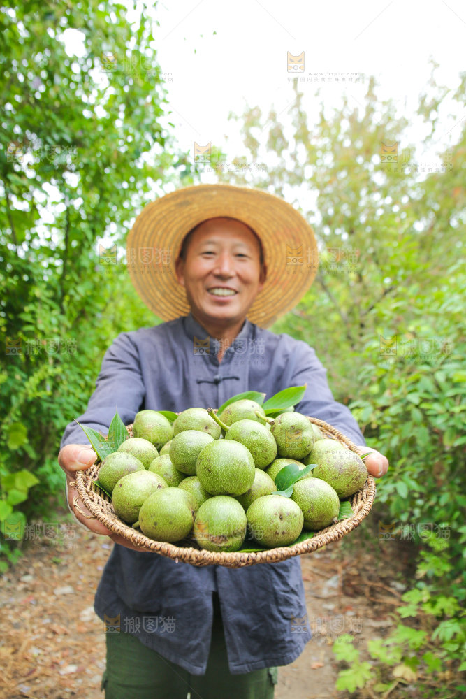 农民手里拿着一篮核桃
