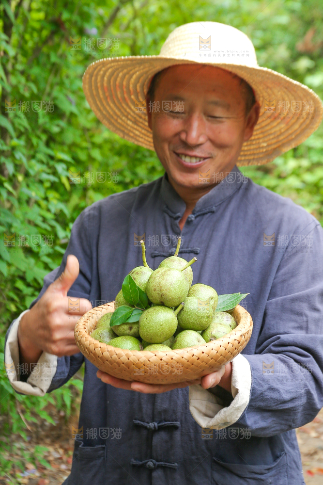 农民手里拿着一篮核桃