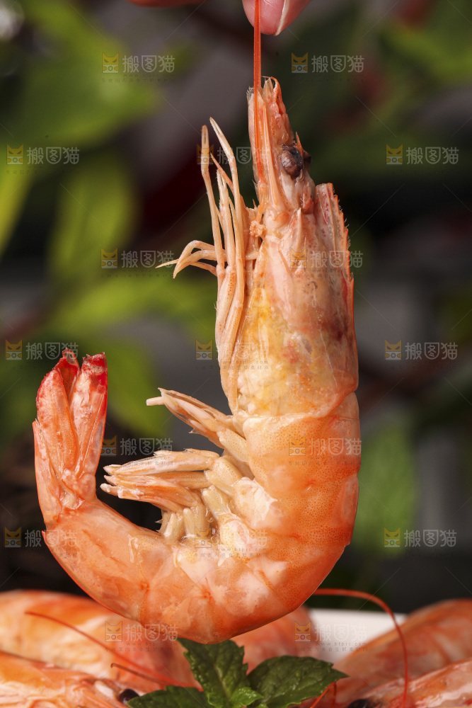 手拿着白灼大虾