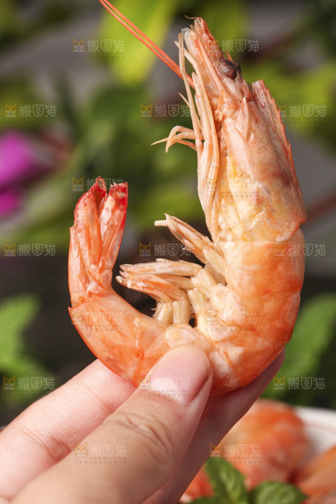 手拿着白灼大虾