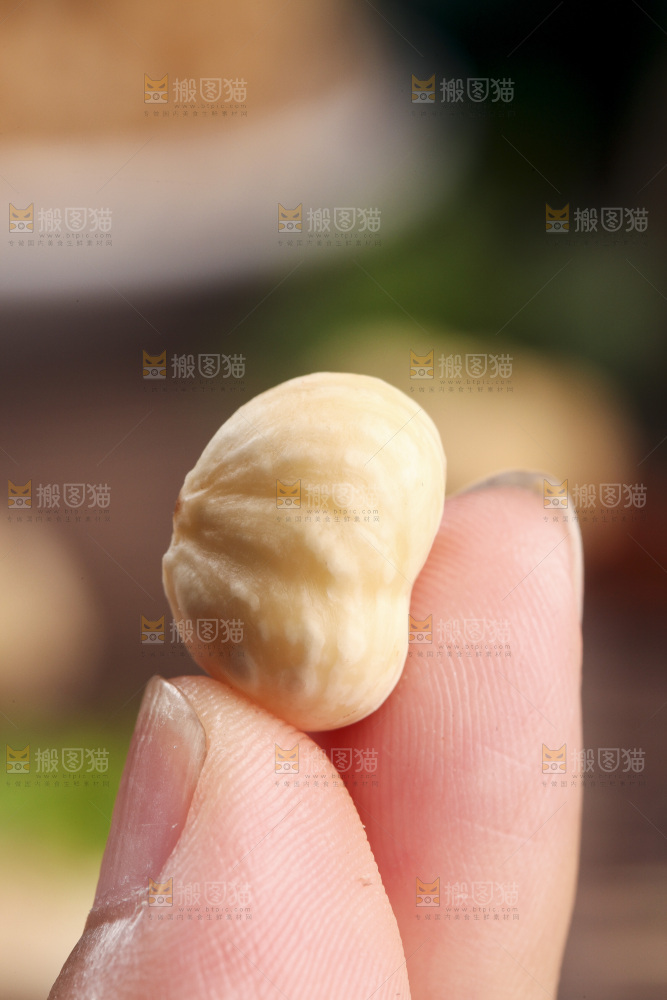 手上拿着榛子仁