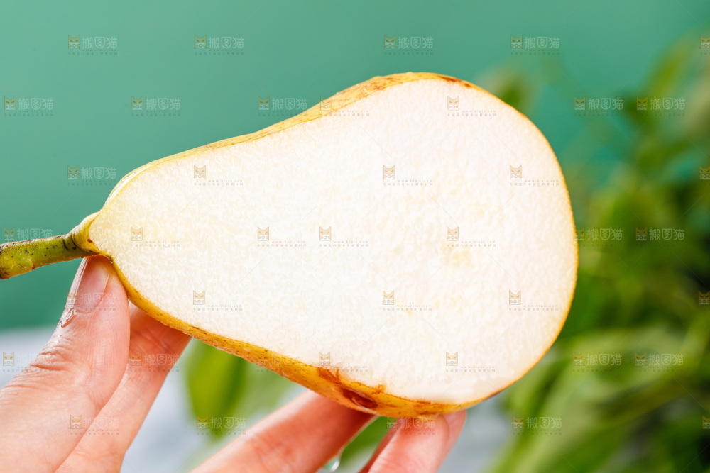 手里拿着新鲜太婆梨