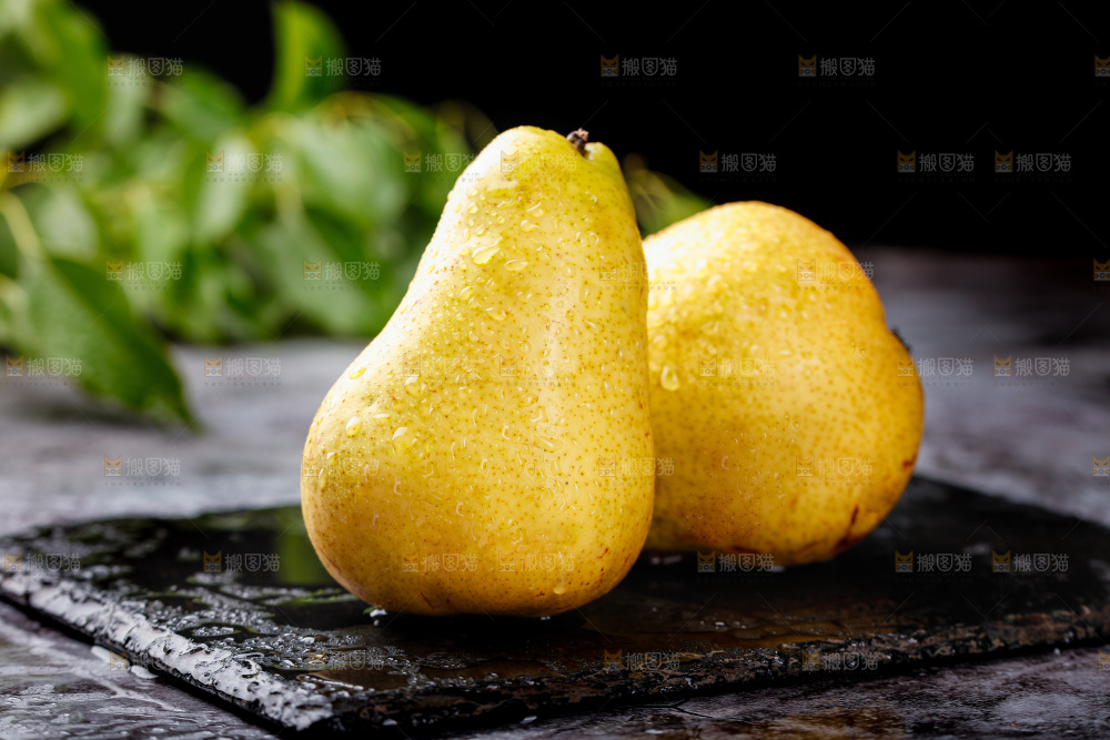 黑石板上的太婆梨