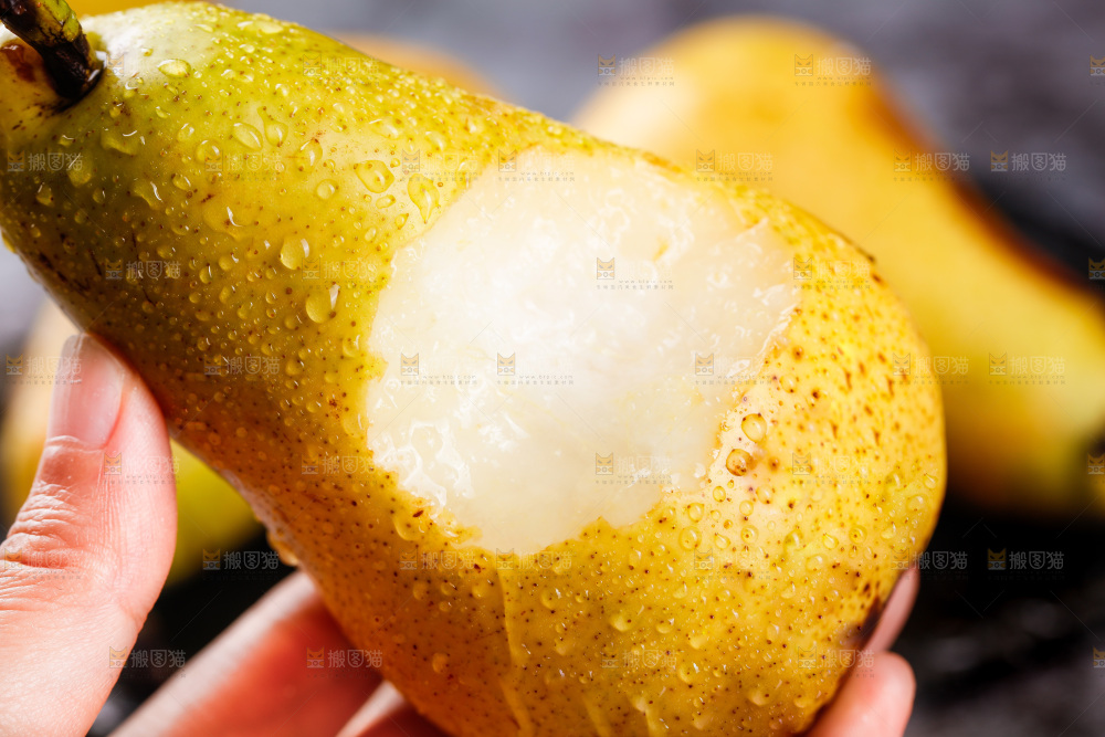 手里拿着新鲜太婆梨