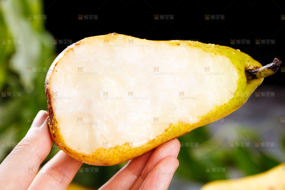 手里拿着新鲜太婆梨