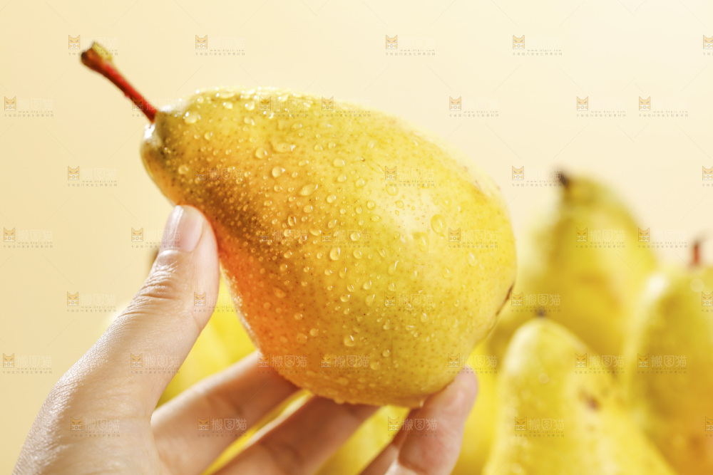 手里拿着新鲜太婆梨