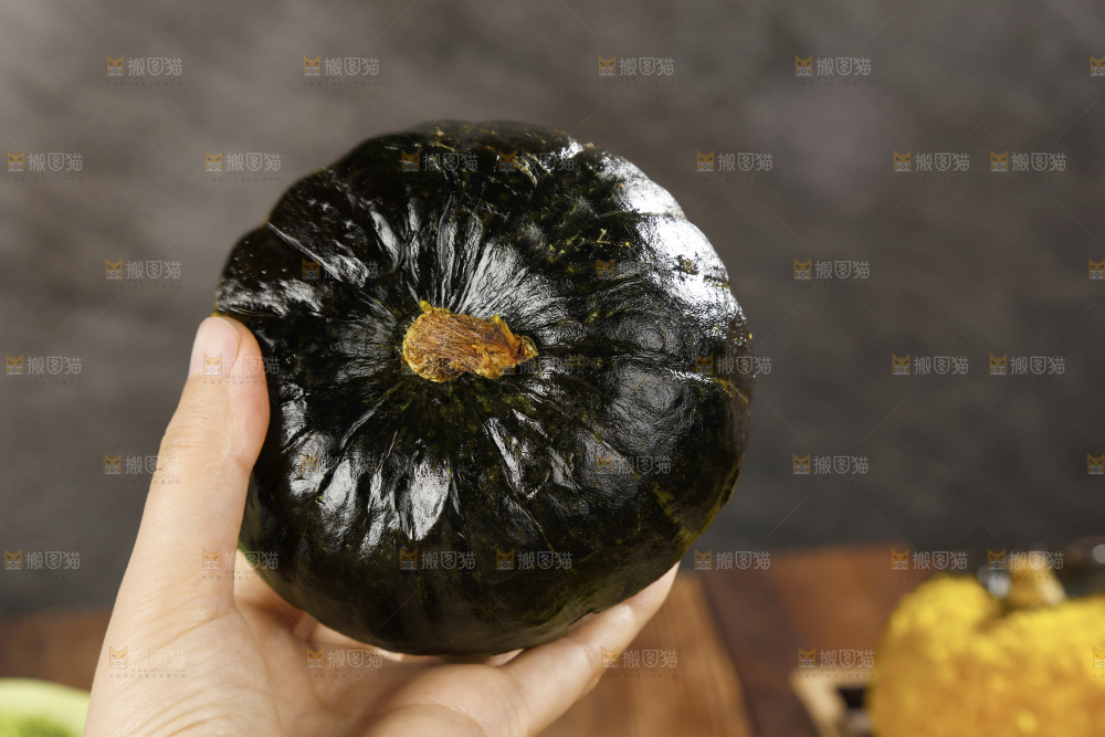 手里拿着的板栗南瓜