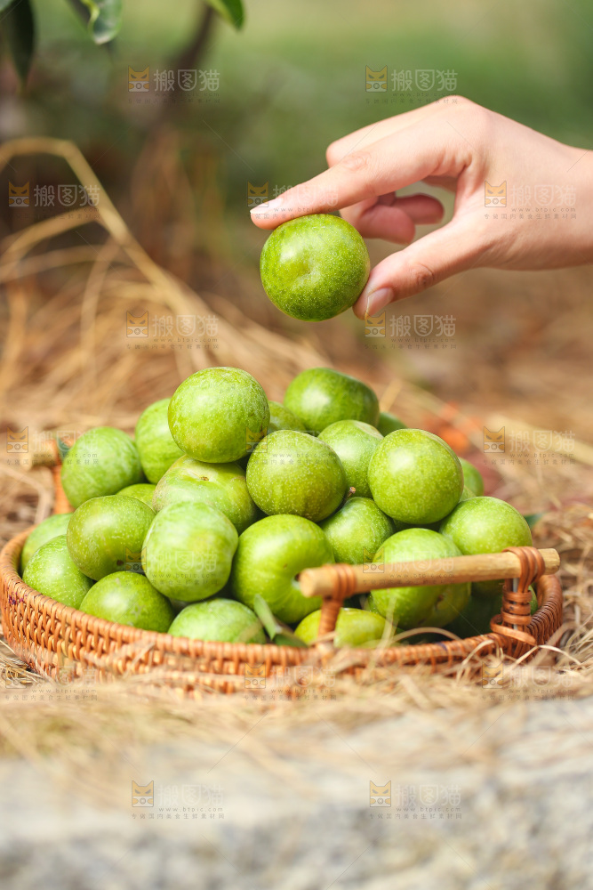 手里拿着新鲜脱骨李