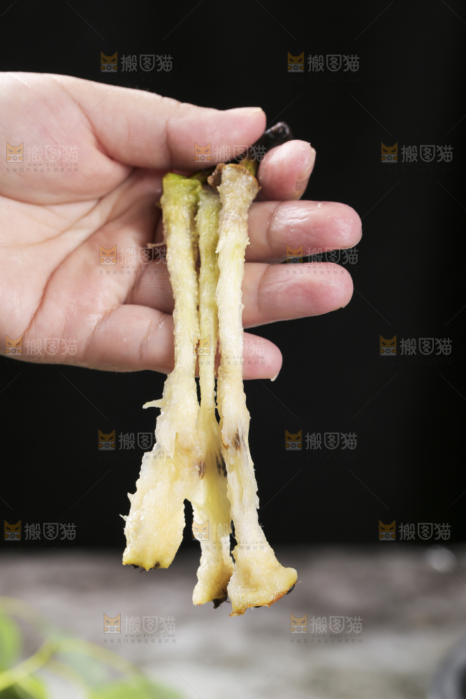 黑底上放着新鲜太婆梨