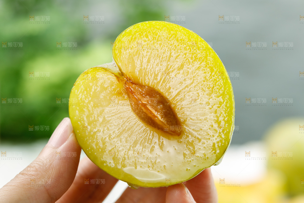 手里拿着新鲜恐龙蛋李
