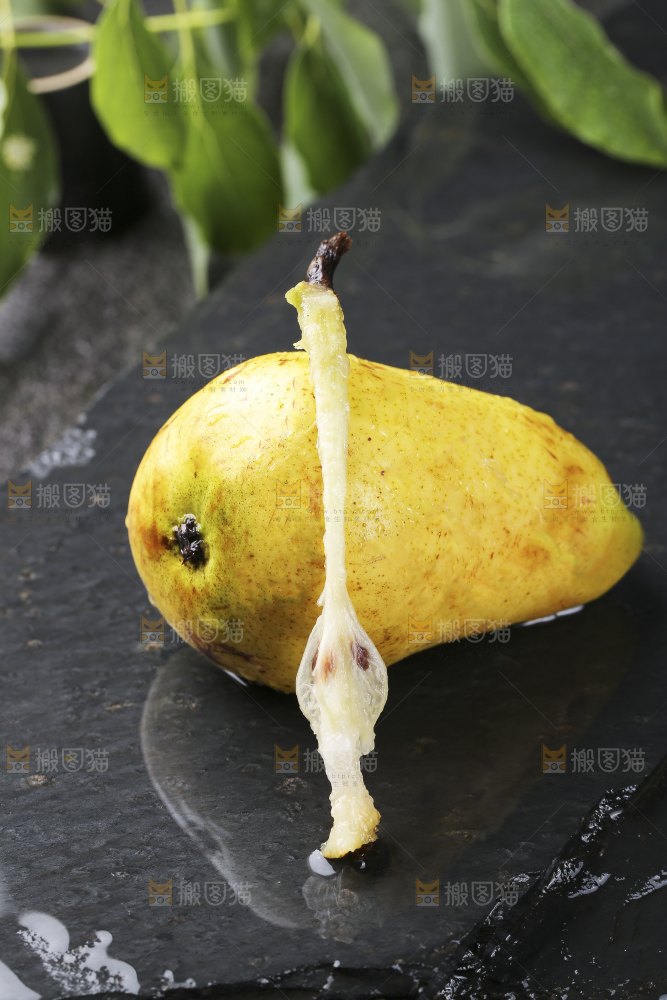 黑底上放着烟台太婆梨