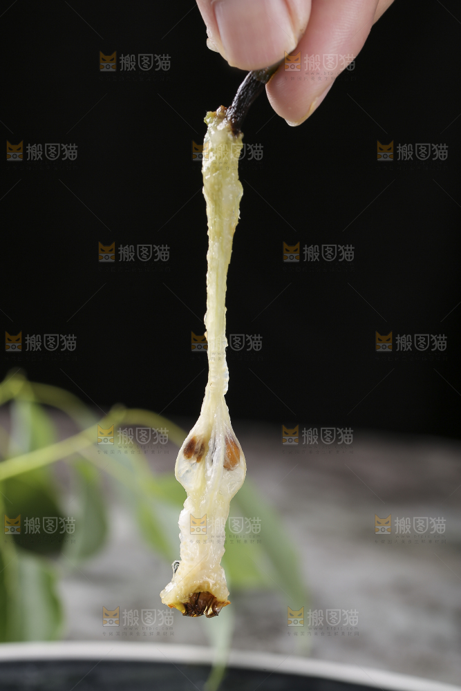 手上拿着太婆梨果核