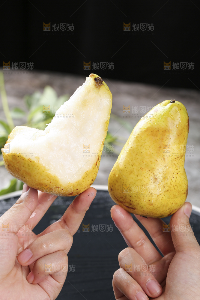 手上拿着山东太婆梨