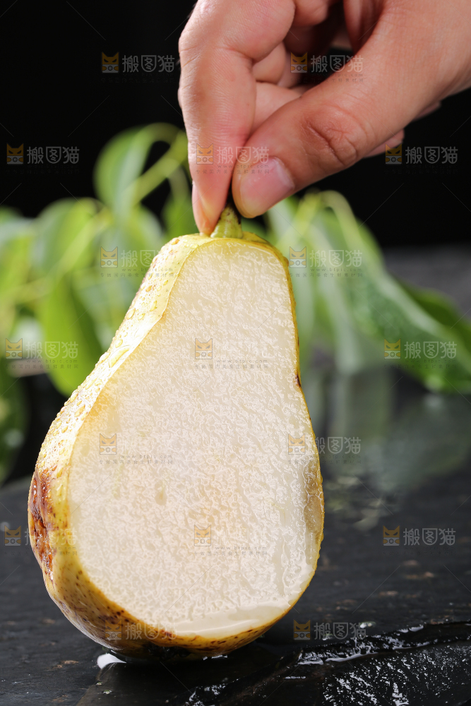 手拿着山东太婆梨
