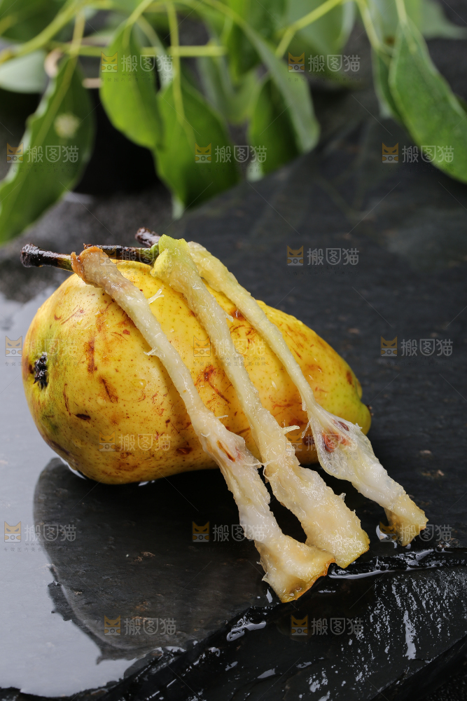 黑底上放着太婆梨果核
