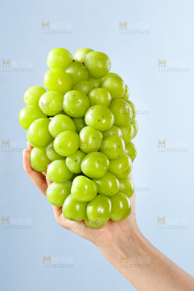 手拿着阳光玫瑰青提
