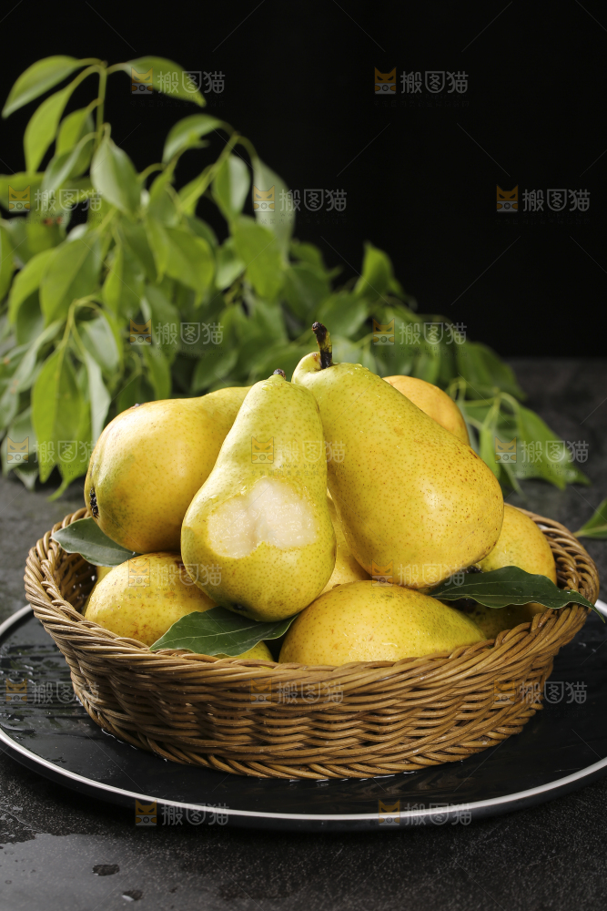 篮子里的山东太婆梨