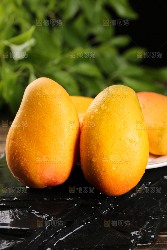黑底上放着的小台芒