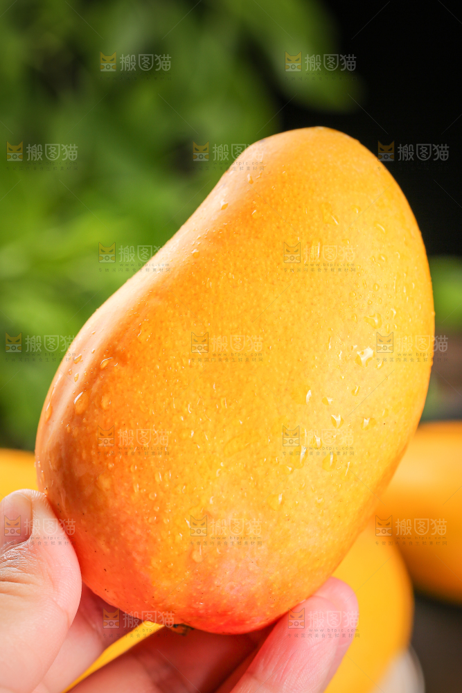 手里拿着新鲜小台芒