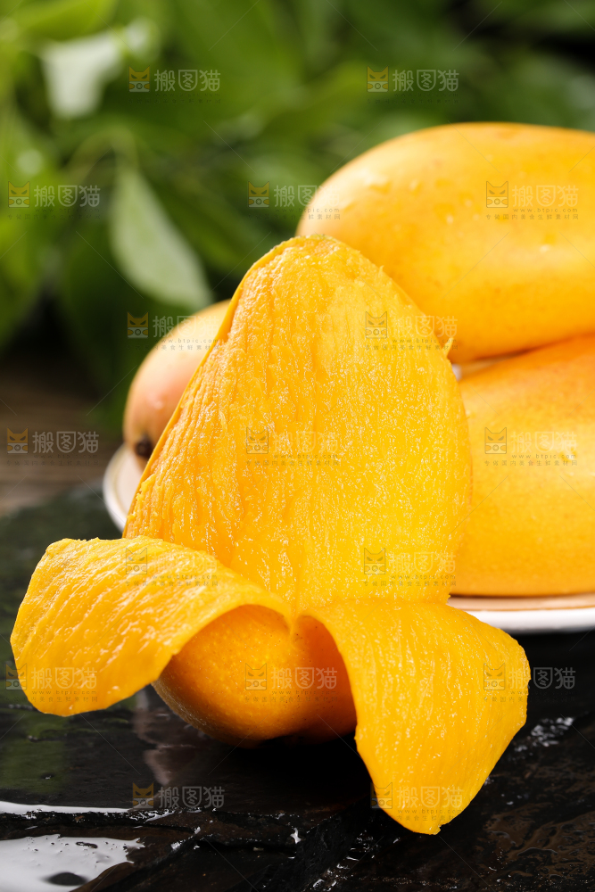 黑底上的小台芒