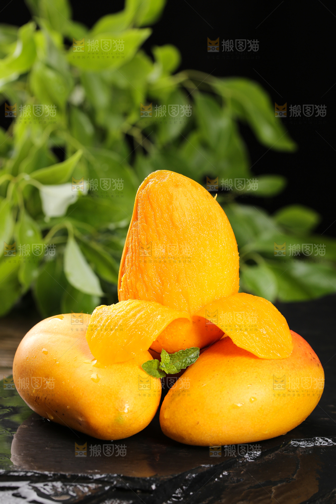 黑底上的新鲜小台芒