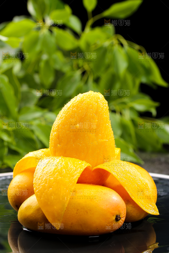 黑底上摆放着的台芒