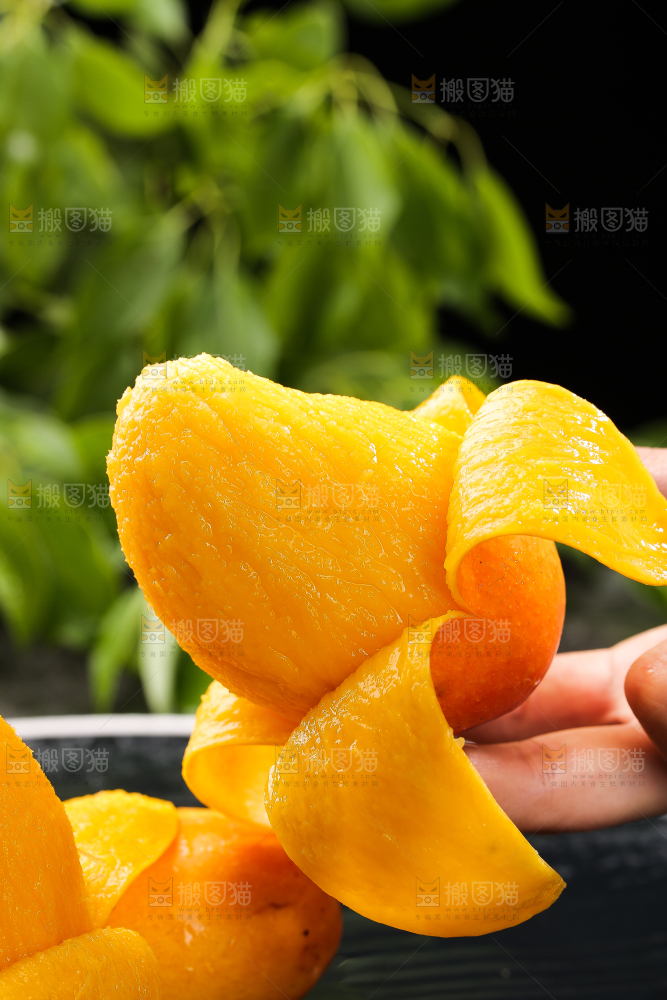 手拿着剥皮的小台芒