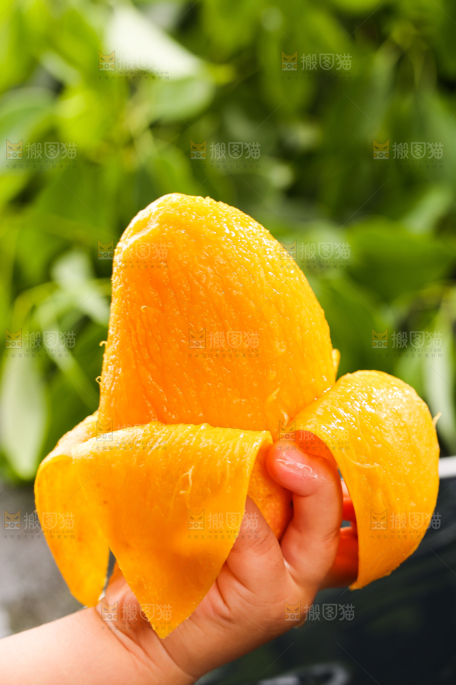 手里拿着剥皮的小台芒