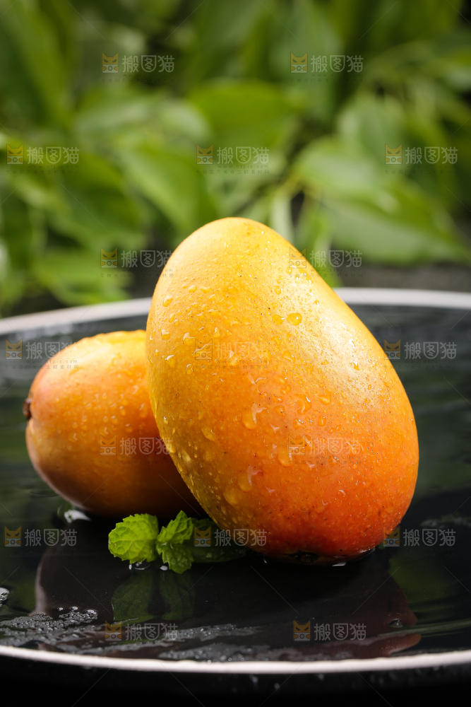 黑底上的小台芒