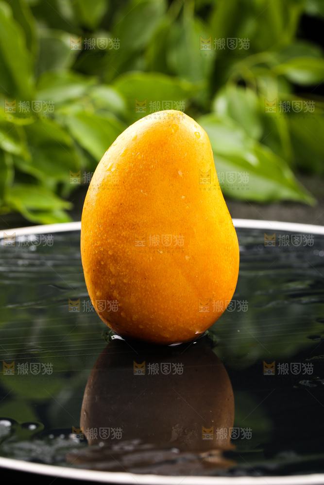 黑底上的小台芒