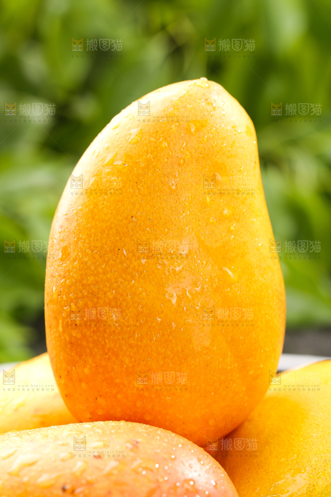 堆放着的新鲜台芒
