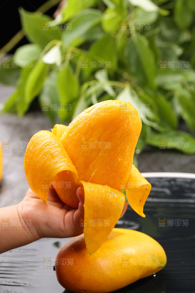 手里拿着剥皮的小台芒