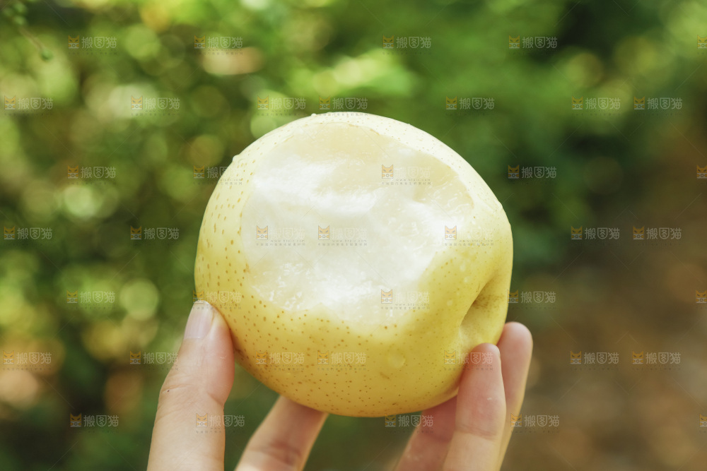 手里咬开的新鲜皇冠梨