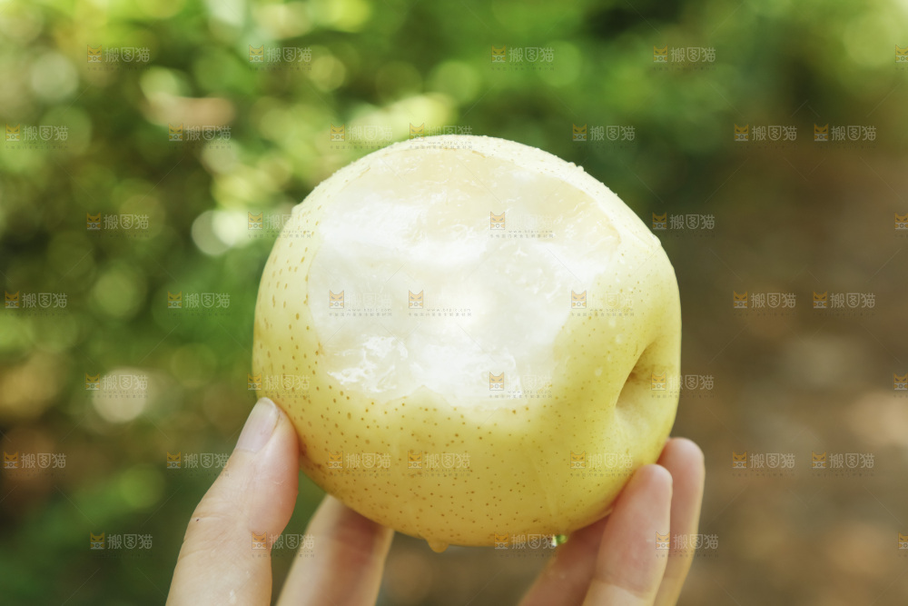 手里咬开的新鲜皇冠梨