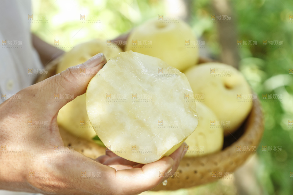手里咬开的新鲜皇冠梨
