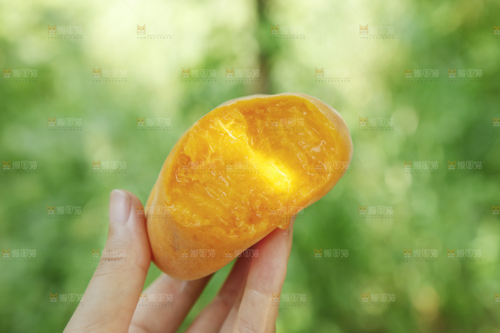 手里拿着黄肉蟠桃