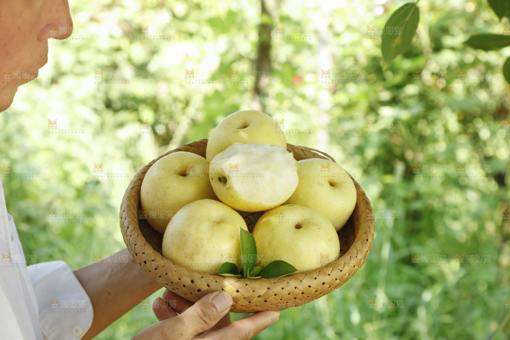 手里拿着一篮皇冠梨