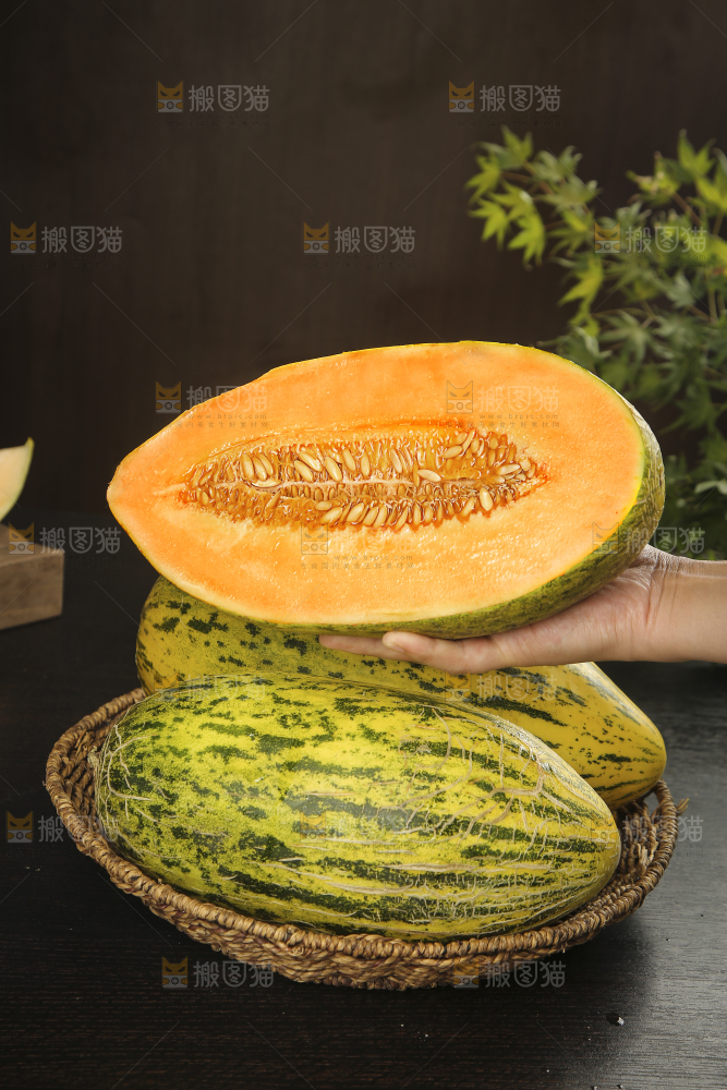 新疆伽师瓜