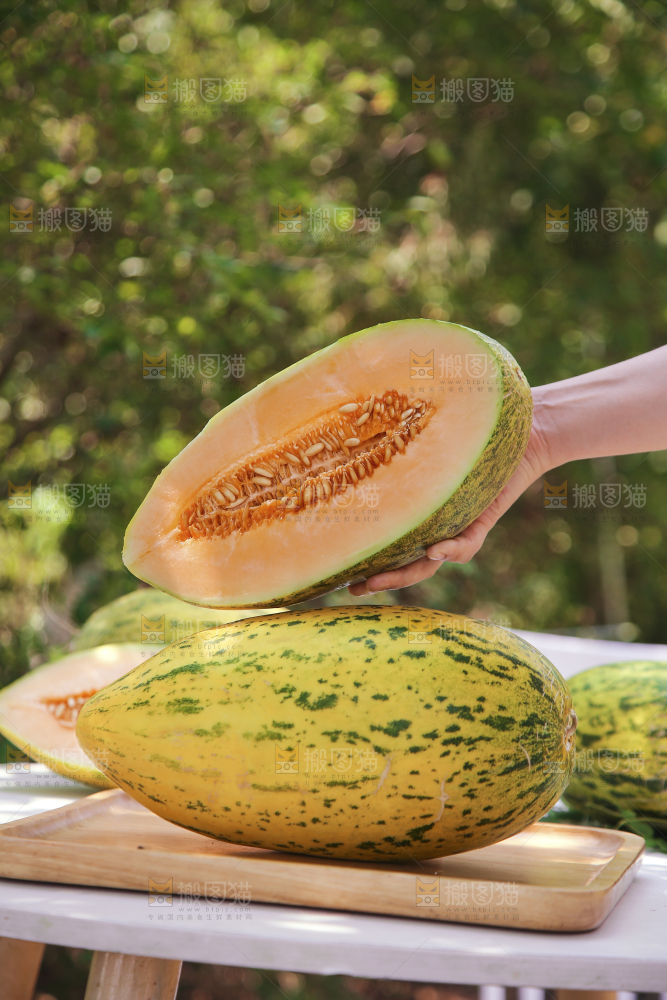 新疆伽师瓜