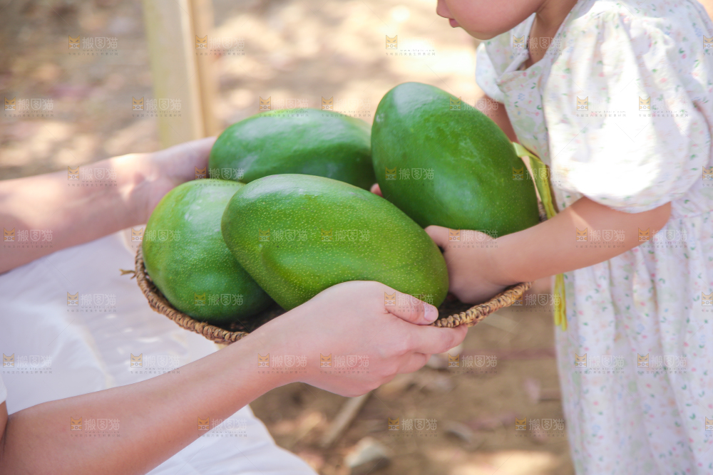 小孩手里拿着凯特芒