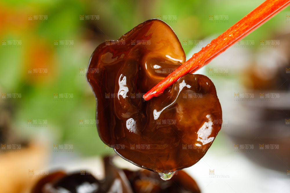 筷子上夹着东北黑木耳