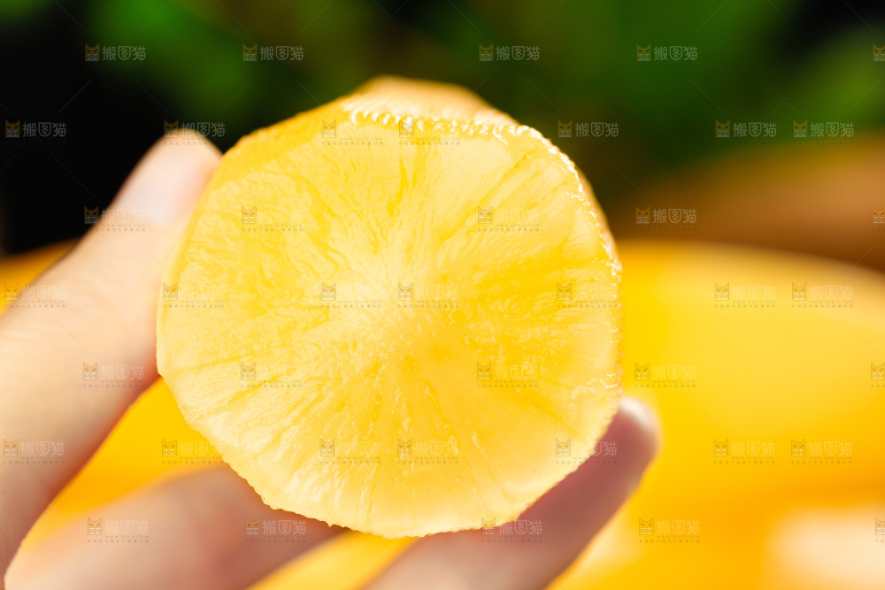 手里拿着黄心雪莲果