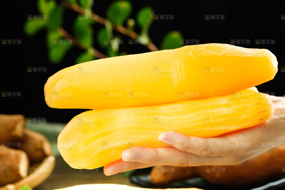 手里拿着天山雪莲果