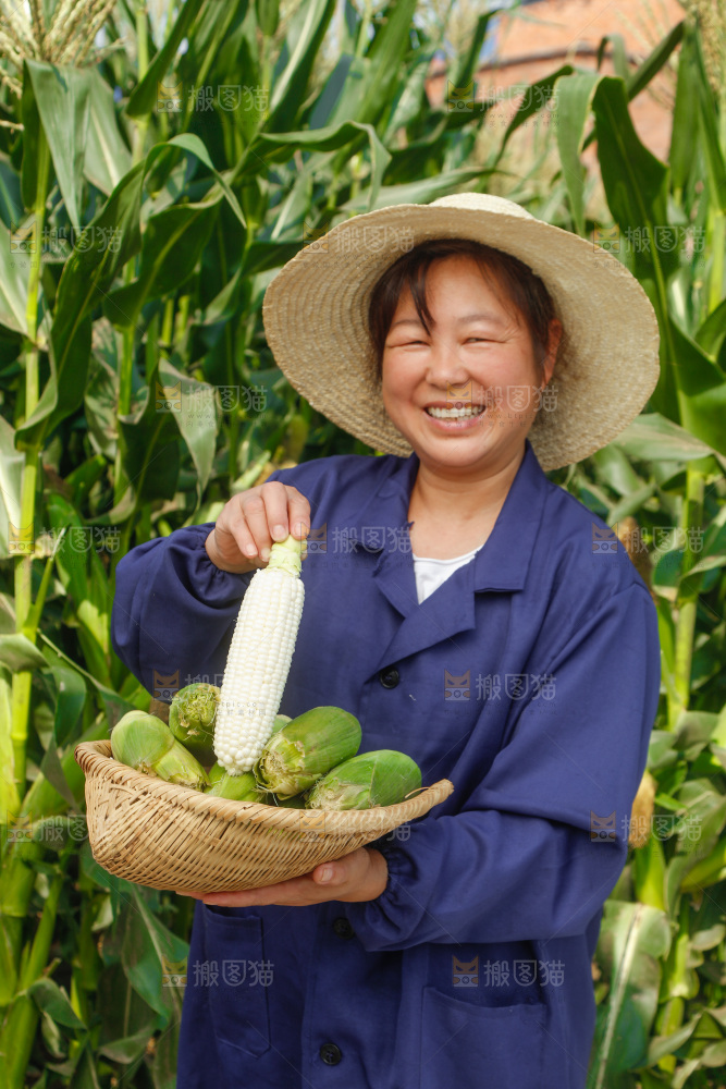 农民手里拿着牛奶玉米