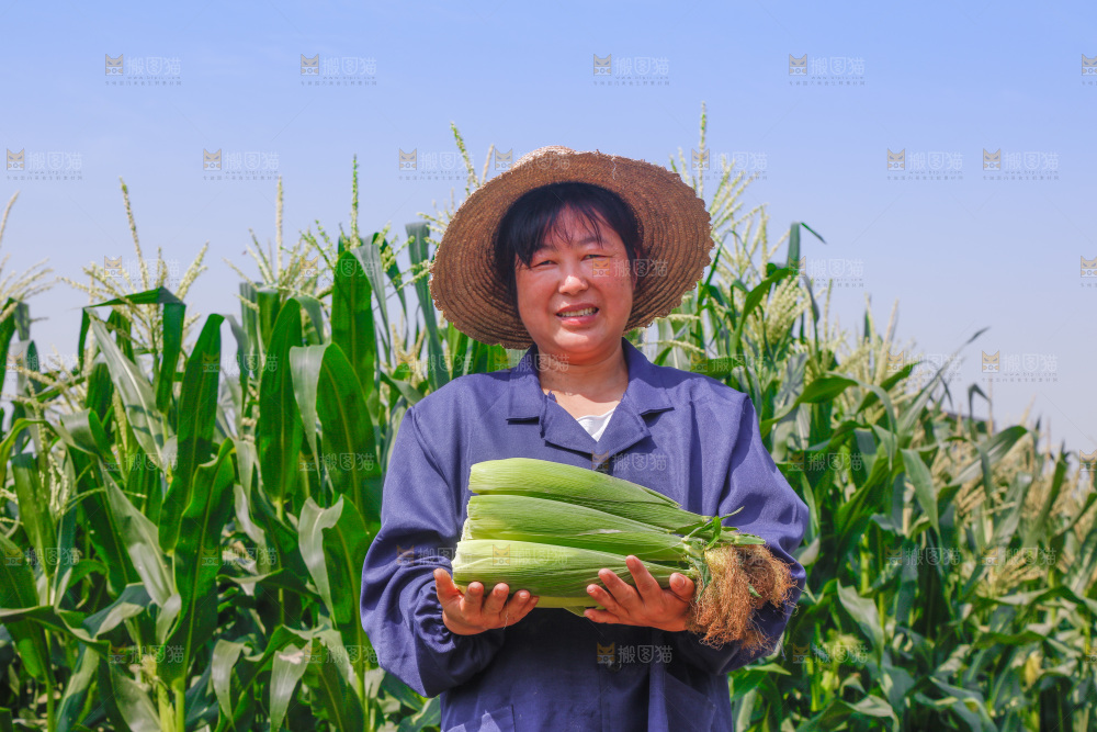 农民手里拿着牛奶玉米