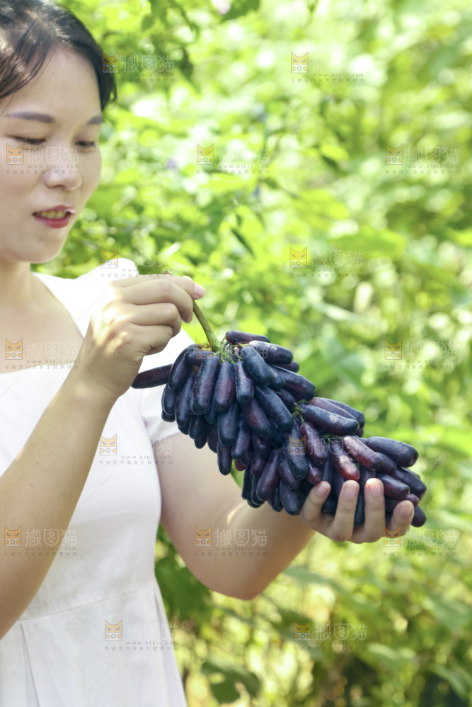 女孩手里拿着美人指葡萄