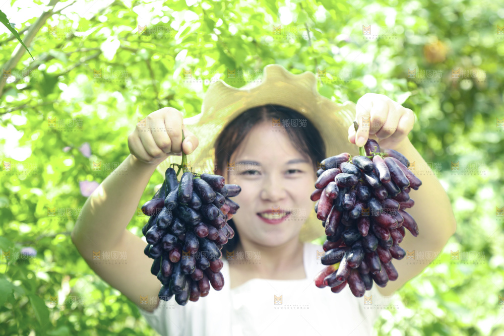 女孩手里拿着美人指葡萄