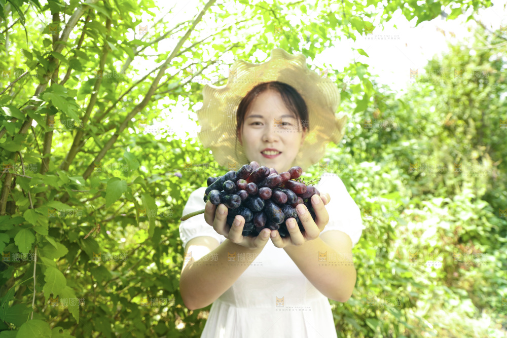 女孩手里拿着美人指葡萄