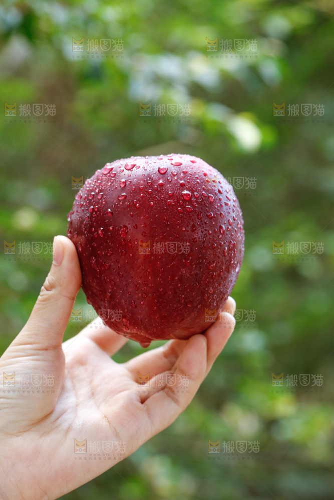 手里拿着花牛苹果