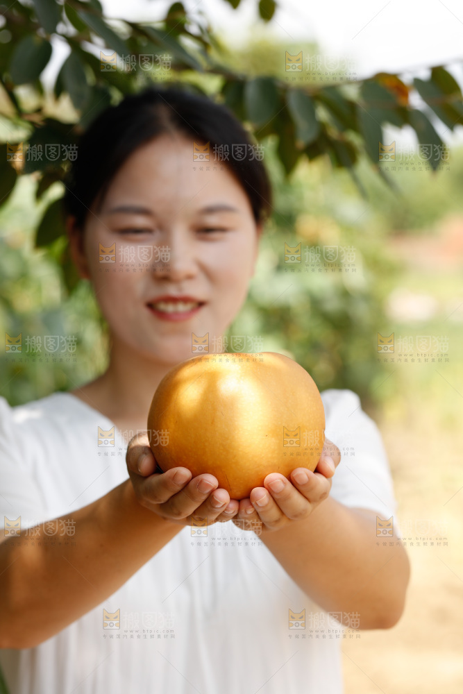 女孩手里拿着山东秋月梨